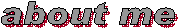 fighttoys.com
